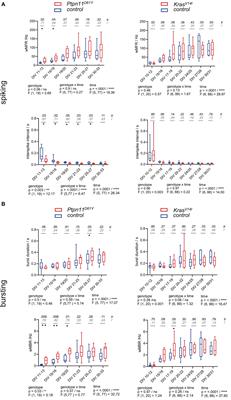 Developmental effect of RASopathy mutations on neuronal network activity on a chip